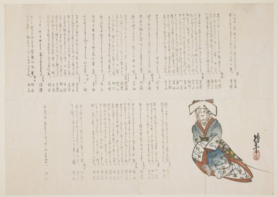 Monkey in a Wedding Gown by nishi Chinnen