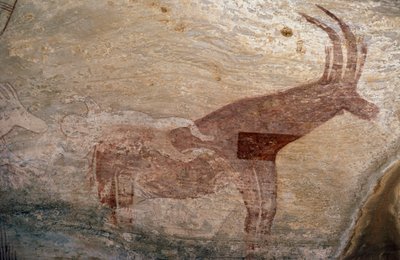 Hoofed animal, cave painting, Sephar, Tassili n