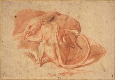 A Partially Skinned Rat by possibly Florentine or Roman Italian 16th