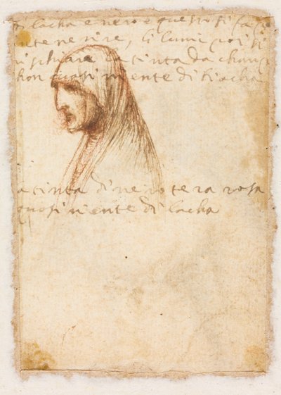 Bust-Length Profile of an Old Woman by possibly by Dosso Dossi