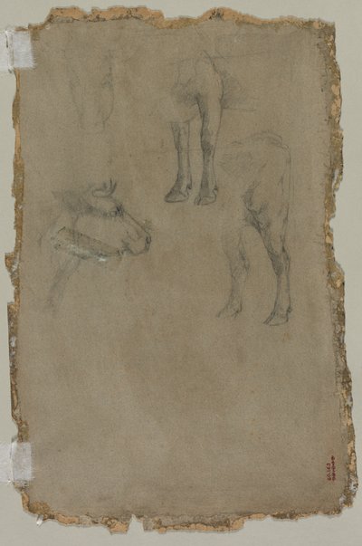 Studies of a Bull (verso) by possibly by Johan Barthold Jongkind