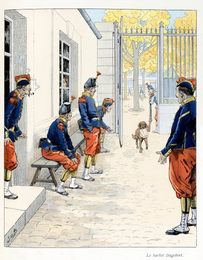 The Barbet Dagobert from 