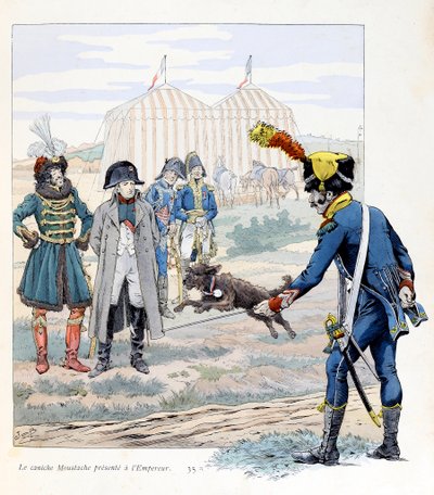 Illustration from the book 