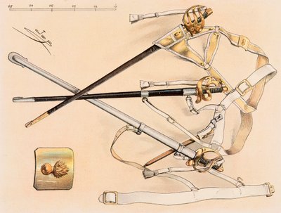 Outfit of French troops at all times: Cavalry Sabre by pseudonym for Onfray de Breville Jacques Job