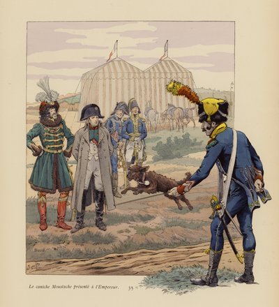 The Dog Moustache Presented to Napoleon by pseudonym for Onfray de Breville Jacques Job