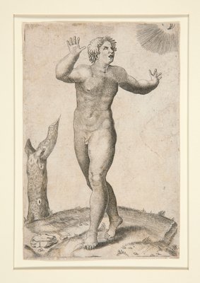 mir hebe boy nudist 
