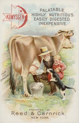 Old man milking cow with child and cat by American School