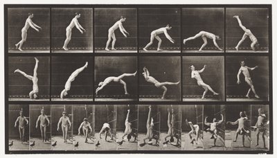 Plate 365. Headspring, A Flying Pigeon Interfering