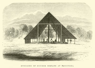 Dwelling of Conibos Indians at Paruitcha  by Edouard Riou