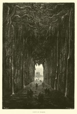 Gorge of Tunkini  by Edouard Riou
