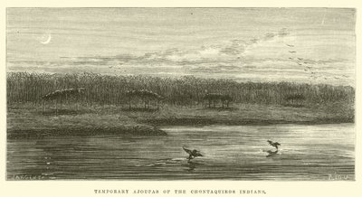 Temporary ajoupas of the Chontaquiros Indians  by Edouard Riou