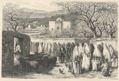 Marabout and Procession: Tlemcen, engraved by Henri Theophile Hildibrand (1824-97)  by Edouard Riou