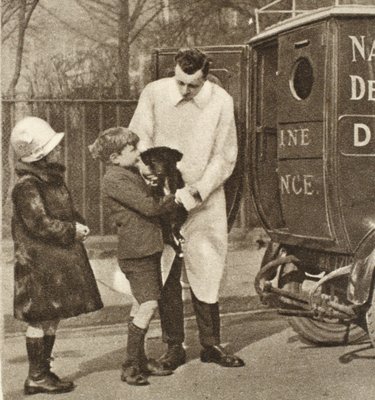 The vet from the Fulham branch of The Peoples Dispensary for Sick Animals, from Wonderful London, published 1926-27 (photogravure) The vet from the Fulham branch of The Peoples Dispensary for Sick Animals, from Wonderful London, published 1926-27 (photogravure)