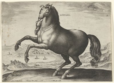 Paardentassen 2025