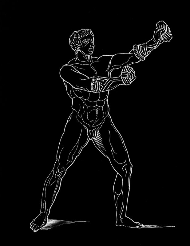 Boxer, illustration for 