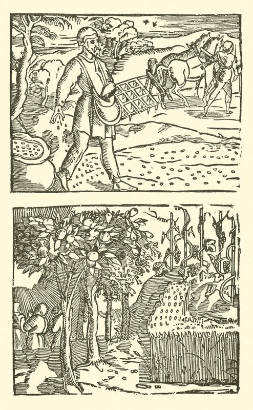 Illustration for The Roxburghe Ballads by (after) English School