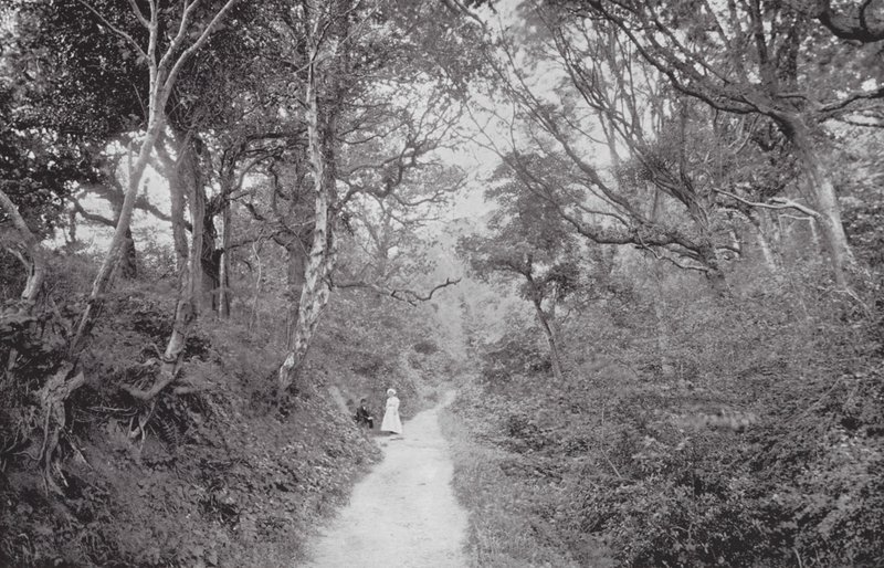Fairlight Glen by (after) English photographer