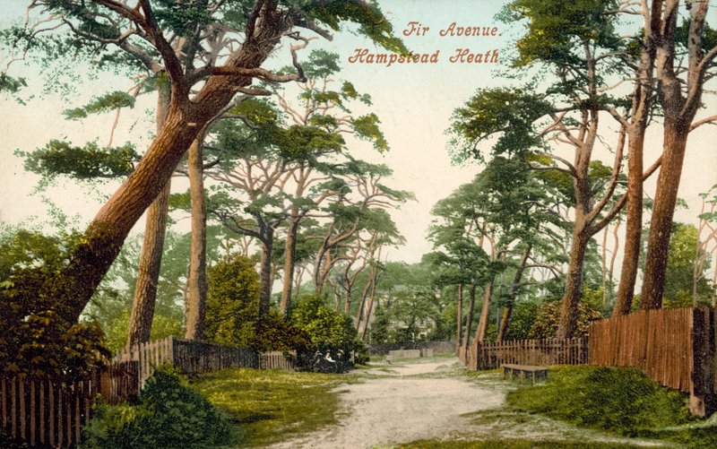 Fir Avenue, Hampstead Heath by (after) English photographer
