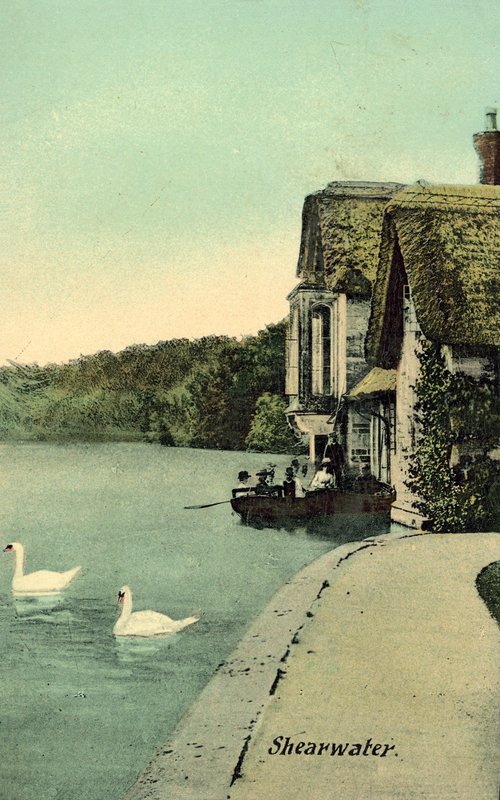 Shearwater by (after) English photographer