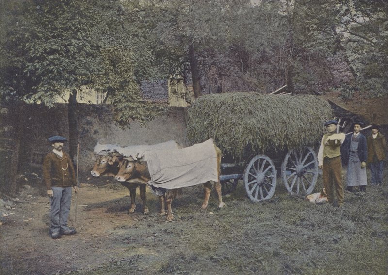 Bearnais Carriage by (after) French Photographer