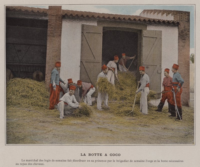 The Coconut Boot by (after) French Photographer