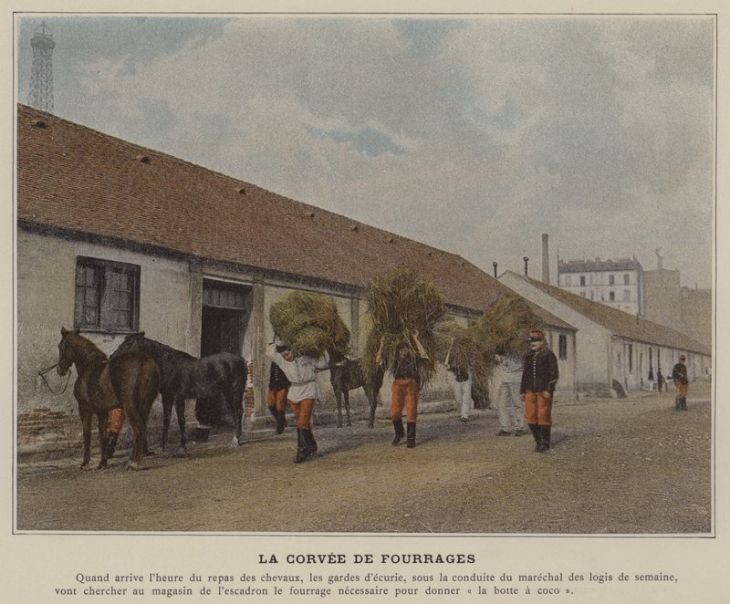 The Forage Duty by (after) French Photographer