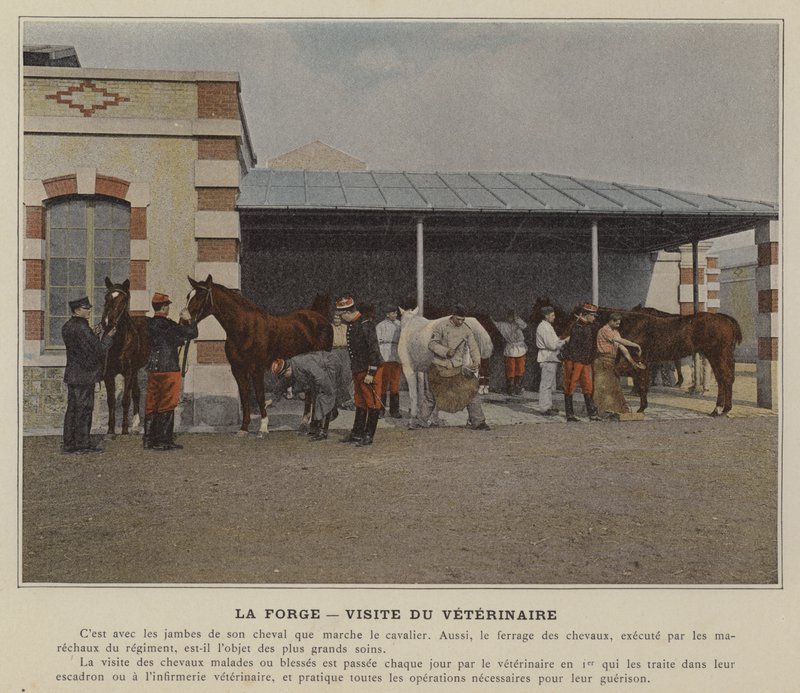 The Forge, Visit of the Veterinarian by (after) French Photographer