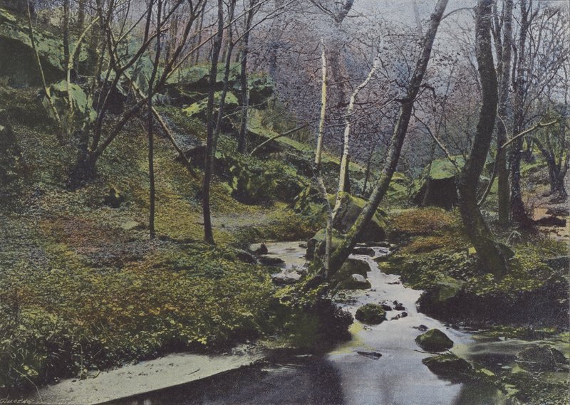Vaux de Cernay, The Cascades by (after) French Photographer