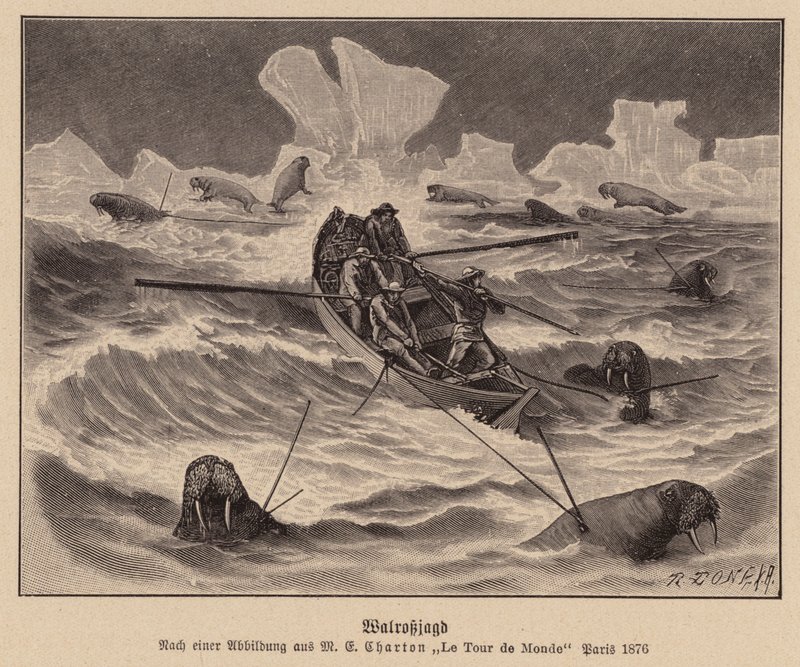 Hunting Walrus by (after) French School
