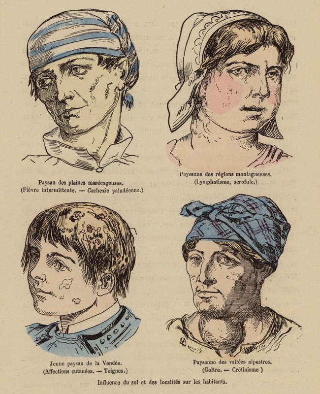 Influence of the Sun and Geographical Location on People by (after) French School