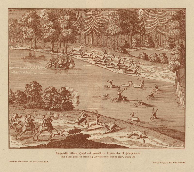 Deer hunting using a water trap by (after) German School