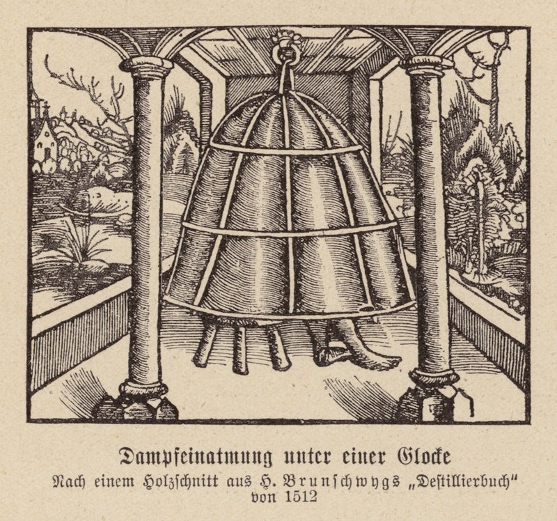 Steam Inhalation Under a Bell by (after) German School