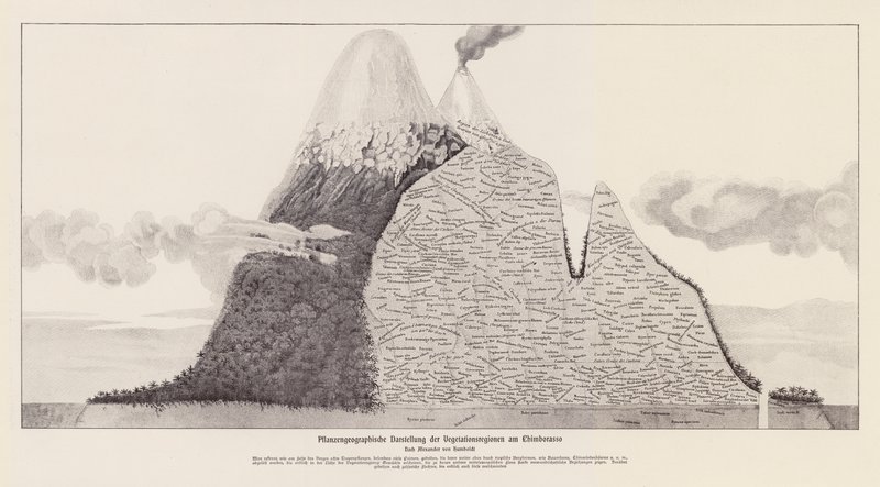 Vegetation Regions of Chimborazo, Ecuador by (after) German School