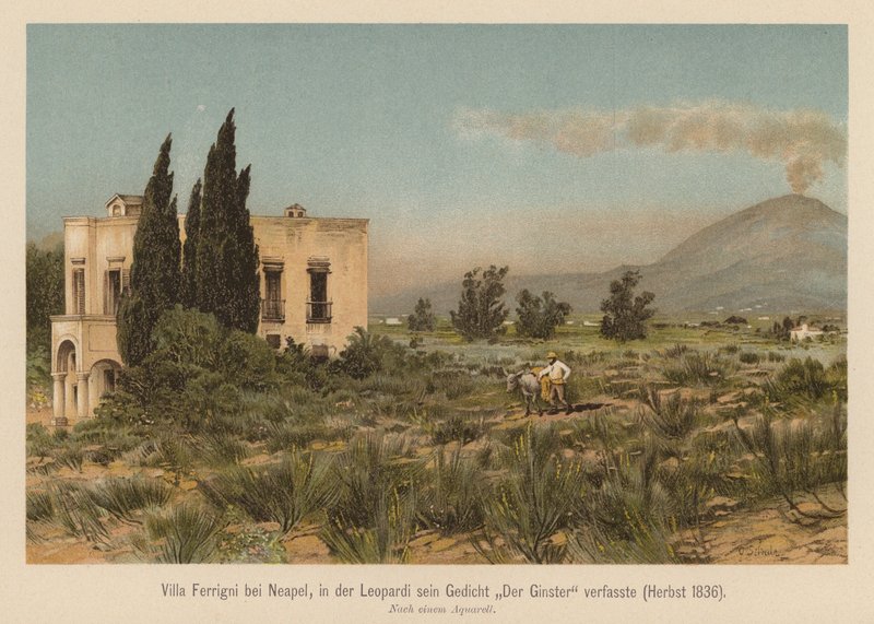Villa Ferrigni, near Naples by (after) German School
