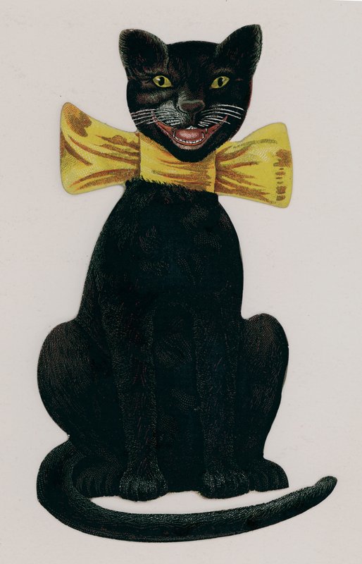 Black Cat Wearing a Yellow Bow by American School