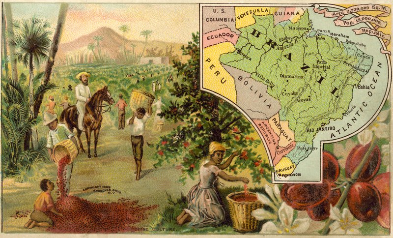 Brazil by American School