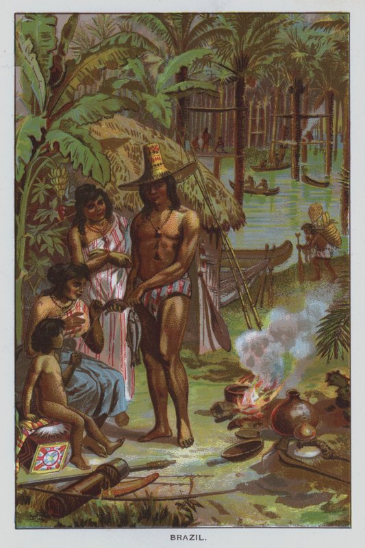 Brazil by American School