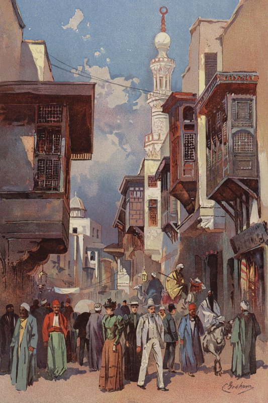 Cairo Street by American School
