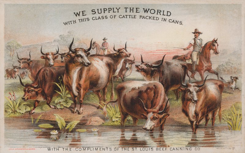 Cowboys on a Cattle Drive, Advertisement for the St Louis Beef Canning Company by American School