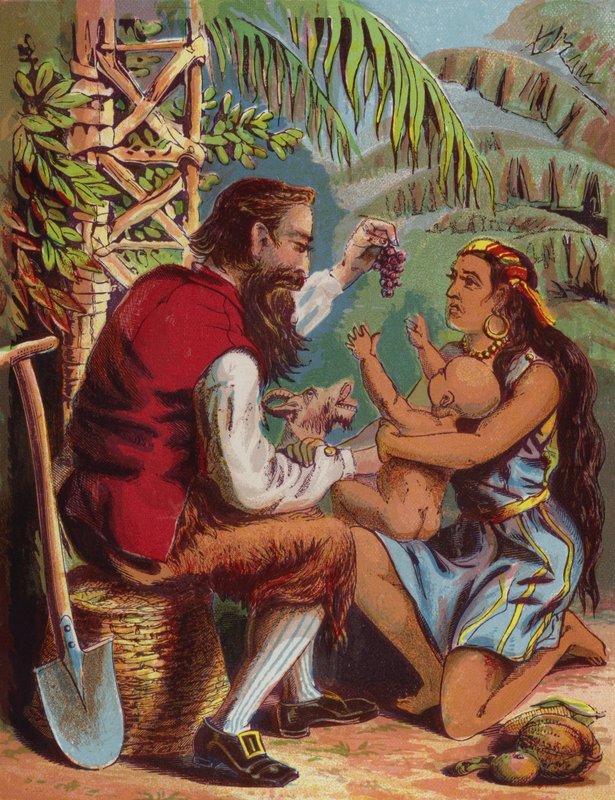 Illustration for Robinson Crusoe by American School