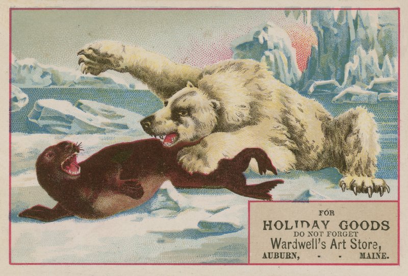 Polar Bear Attacking a Seal by American School