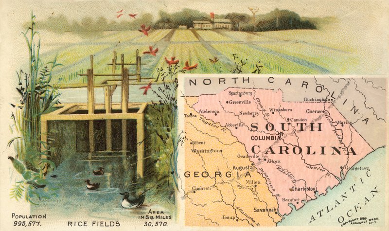 South Carolina, USA by American School