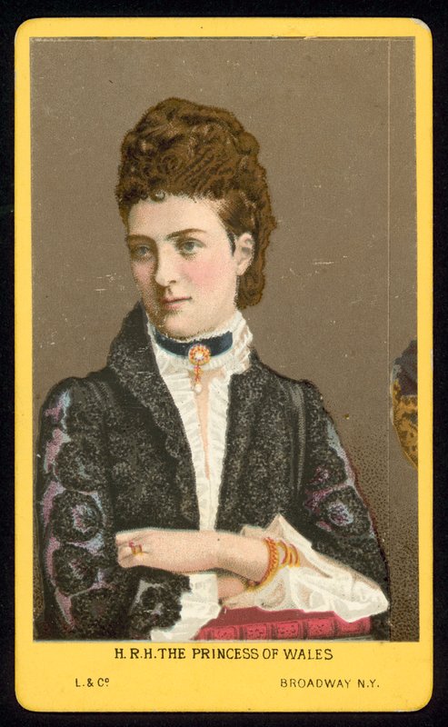 The Princess of Wales by American School