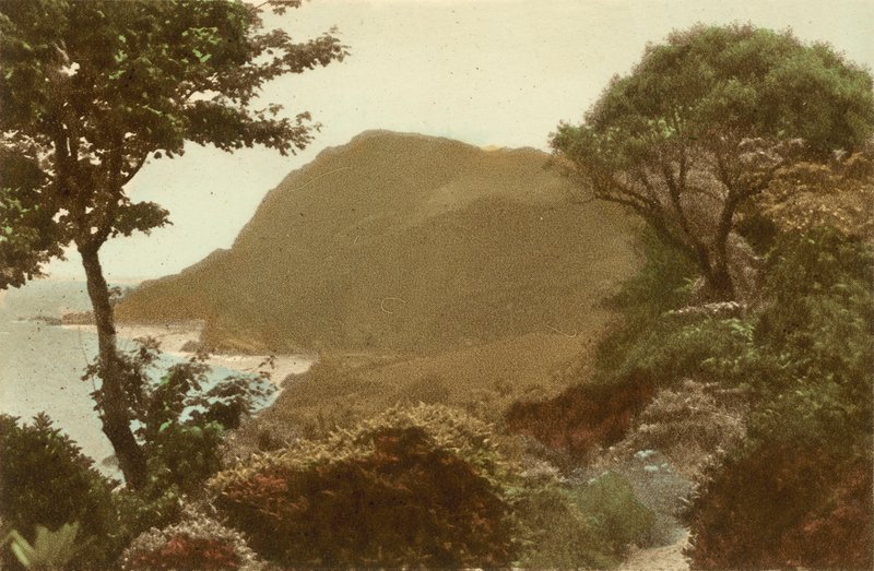 Ilfracombe, Hillsborough from St James Gardens by English Photographer