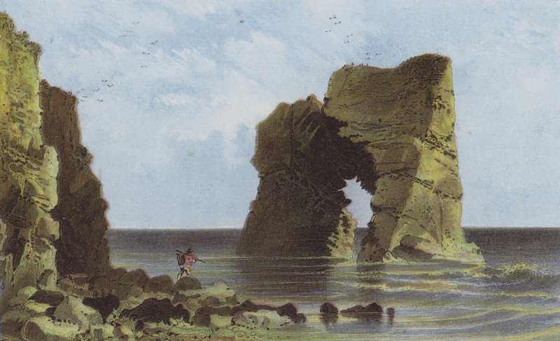Arched Rock, Freshwater Bay by English School