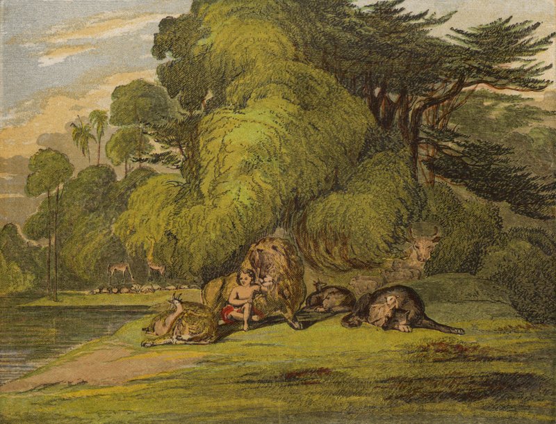 The Peaceful Kingdom by English School