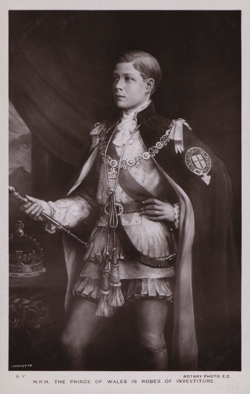 The Prince Of Wales, in robes of investiture by English School