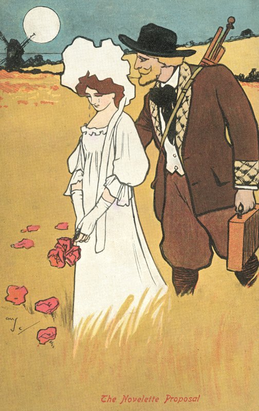 The Novelette Proposal by English School