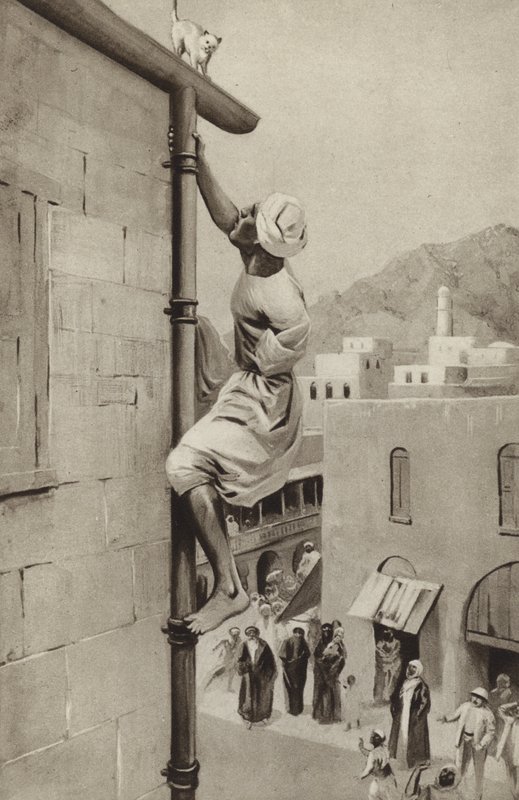 Walter Greenway Climbs a Pipe, with One Arm, to Rescue a Cat in Distress by English School