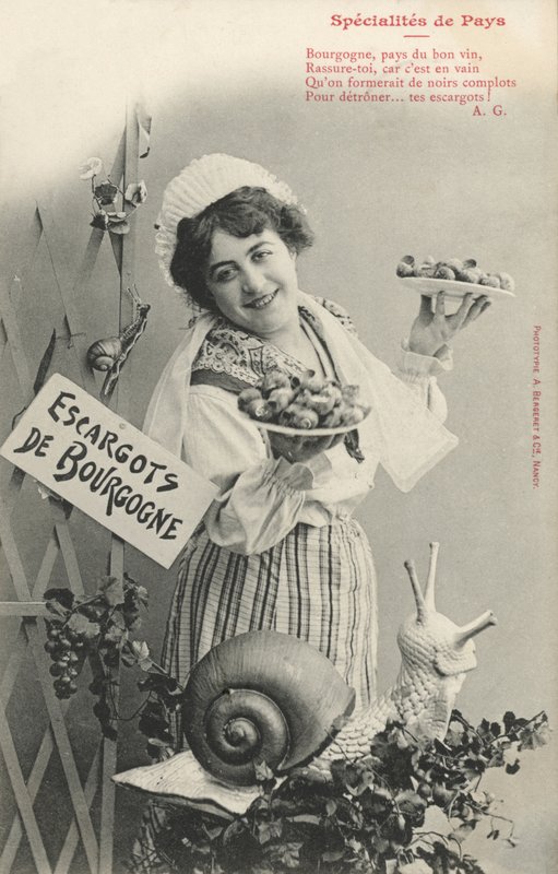 Escargots De Bourgogne by French Photographer